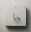 Earth Ring